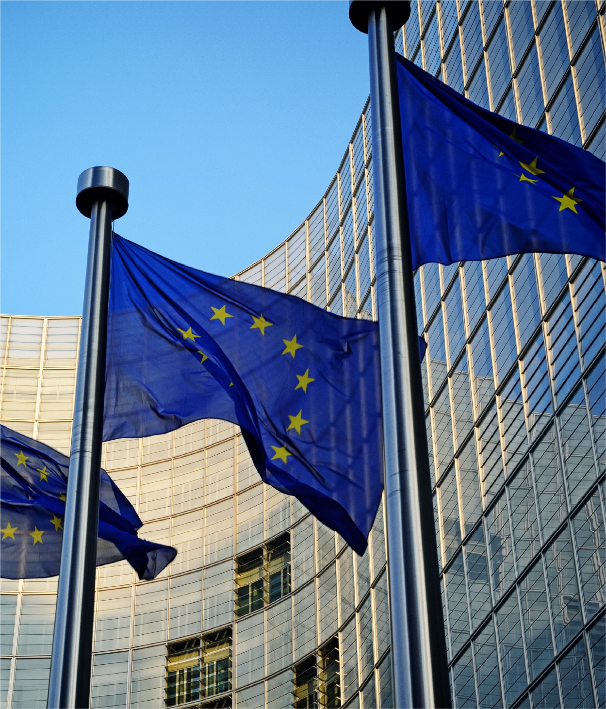 EU flags in front of a government building