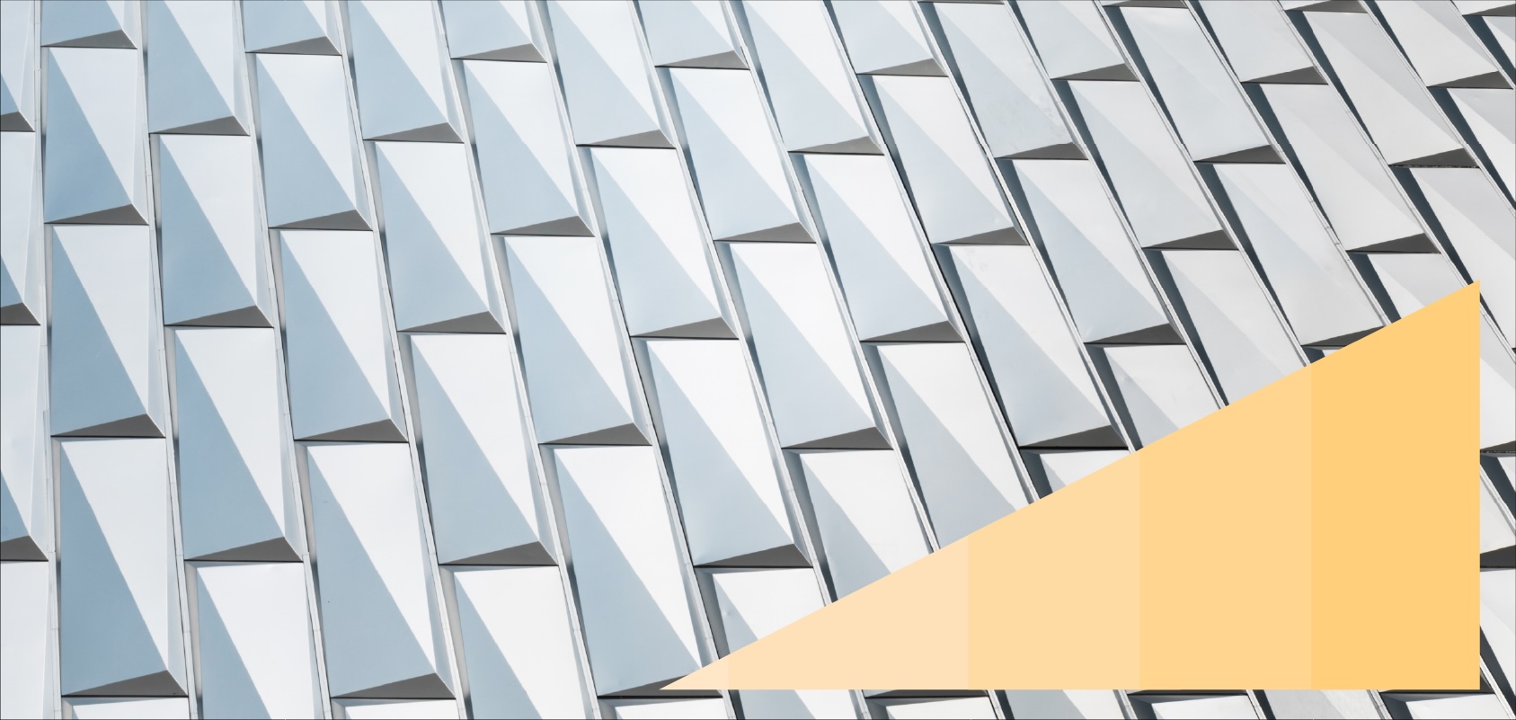 Paneled meshed roof surface